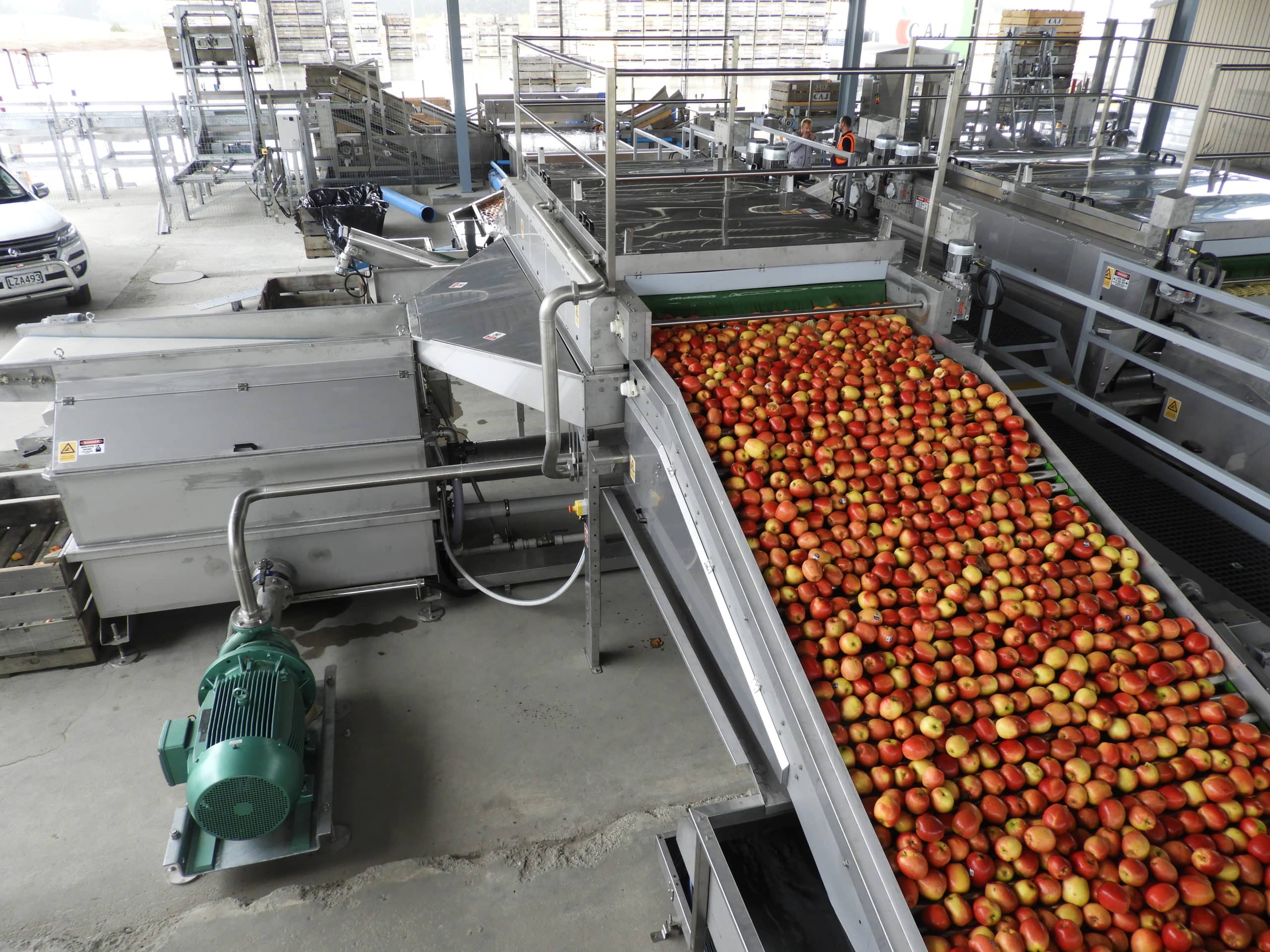 Post Harvest Automation Case Study | CR Automation